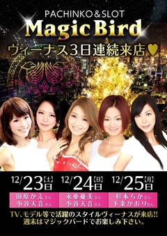 ★マジックバードクリスマス★