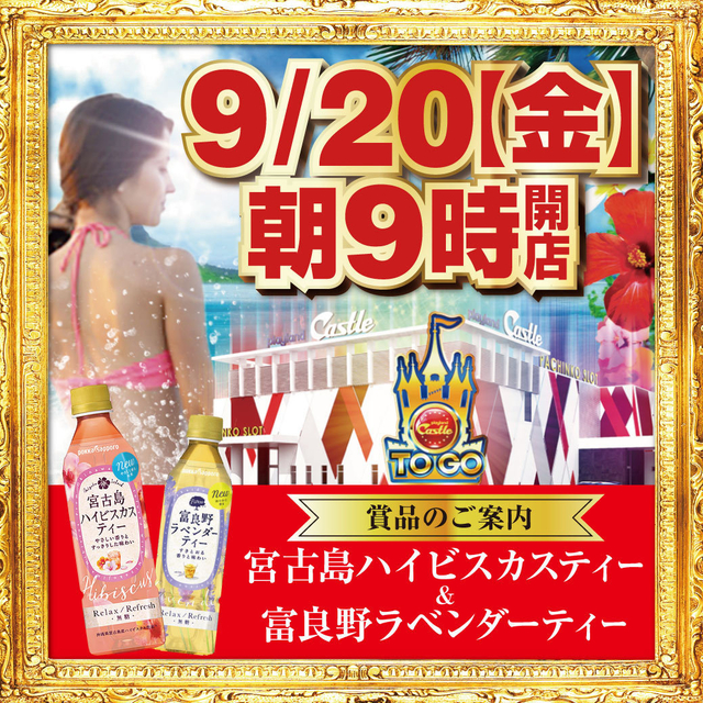 9月20日(金) ハイビスカス&ラベンダティー入荷 朝9時開店!