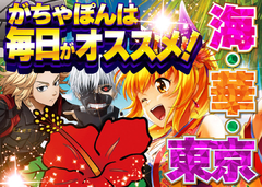 毎日オススメ♪