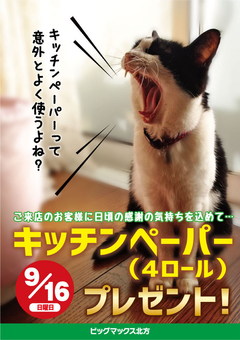 ★9月16日(日)はキッチンペーパープレゼント★