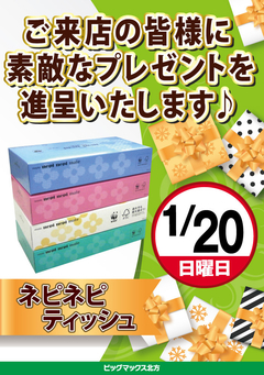 1月20日(日)はボックスティッシュプレゼントあります!!
