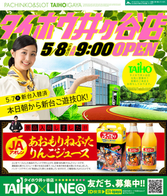 チラシ投函日 あさ9時オープン
