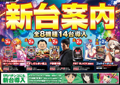 新台入替