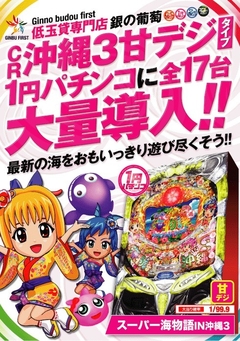 沖縄3甘デジ大量導入!!