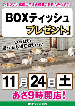 11月24日(土)はBOXティッシュプレゼントあります